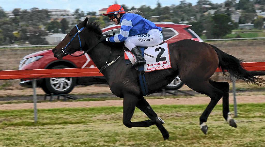 ON PACE: Faith Elliott rides Solar Choice to equal the 1500m record at Allman Park on Saturday. ON PACE: Faith Elliott rides Solar Choice to equal the 1500m record at Allman Park on Saturday.